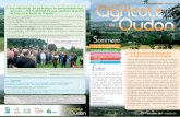 Décembre 2017 - Numéro 26Numéro 26 :::: Les collectivités ...bvoudon.fr/sites/default/files/lao_26.pdf · La lettre agricole de l’Oudon est une publication du Syndicat Mixte
