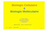 Biologie Cellulaire Biologie Moléculairebiochimie.univ-tours.fr/cours_10_final_2013.pdf · Biologie Cellulaire & Biologie Moléculaire L3 UE 5.2 2013-2014 Cours n° 10 : Jeudi 7