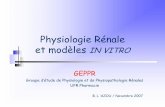 Physiologie Rénale et modèles IN VITROefisio.online.fr/ensenhament08/p-sys/L3_S5_7_renal2.pdf · Le rein joue un rôle central dans le maintien du volume et de la composition ionique
