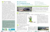 Ratoli Bulletin d’information qu’est ce que c’est ... · Ratoli trompeta Rat trompette Juillet 2015 - n°1 Bulletin d’information du programme Life+ «DESMAN» dans les Pyrénées-Orientales