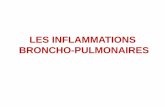 LES INFLAMMATIONS BRONCHO-PULMONAIRESuniv.ency-education.com/uploads/1/3/1/0/13102001/pneumo4an16... · LP. 2- Pneumonie à CMV : La maladie se voit chez le prématuré et le nourrisson.