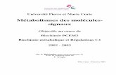 Université Pierre et Marie Curie - chups.jussieu.fr · Métabolisme des catécholamines 2002 - 2003 Métabolismes des molécules-signaux - Pr A. Raisonnier 11/79 1.2 Dihydrobioptérine