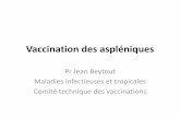 Vaccination des aspléniques - SPILF · Splénectomisé • Vous êtes amené à voir en consultation des voyageurs Mr S…, 32 ans, qui veut se rendre au Sénégal et entend bien