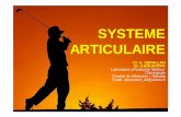(Anatomie-système articulaire )univ.ency-education.com/.../0/13102001/anatomie-systme_articulaire.pdf · Plan du cours 3 Définition. Classification des articulations. Cartilage