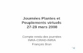 Journées Plantes et Peuplements virtuels 27-28 mars 2008 · 3 Définitions • Développement de modèles de plantes représentant des jeux d’interactions au sein de la plante