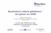 Dyskinésie ciliaire primitives : les gènes en 2009 · ~ 30% ~ 10% 15% DCP : phénotype ultrastructural Papon et al, Eur Resp J (sous presse) ~ 15% ~ ~ 30% BDE seuls BDE et BDI BDI