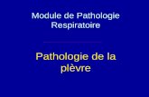 Module de Pathologie Respiratoire - snowratm.free.frsnowratm.free.fr/esi2a/patho_plevre.pdf · Pneumothorax •Définition : éruption d’air dans la cavité pleurale. Son importance