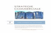 STRATEGIE COMMERCIALE - portail-des-pme.fr · 75 % des échecs commerciaux n’ont aucun rapport avec les produits et services de l’entreprise. Concevoir un produit coûte 1, le