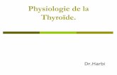 Physiologie de la Thyroïde.univ.ency-education.com/uploads/1/3/1/0/13102001/physio2an-thyroid... · Physiologie de la Thyroïde. Plan Rappels anatomo-histologiques. Hormonosynthése.