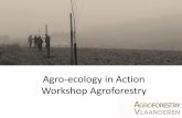 Agro-ecology in Action Workshop Agroforestry · “Agroforestry is the ideal agricultural system, but no one is applying it…” Application limitée Incertitudes agricoles & organisationnelles