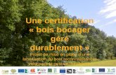 Une certification « bois bocager géré durablement · Une certification « bois bocager géré durablement » Projet de mise en place d’une labellisation du bois reconnaissant