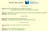 École des profs - lecerveau.mcgill.calecerveau.mcgill.ca/flash/pop/pop_pres/%C9cole%20profs%20... · June 9, 2015 http ... This study provides a foundation for brain research to