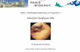 Infections fongiques ORL · DESC « Pathologie Infectieuse et Tropicale » Infections fongiques ORL Dr Benjamin Verillaud Service d’ORL, Hôpital Lariboisière, APHP, Paris