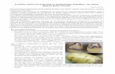 La lutte contre les pourritures bactériennes humides …pro.ovh.net/~fiwap/uploads/File/Bibliotheques/Nouvelles...-Erwinia carotovora ssp. carotovora (24 à 34 C, et jusque 42 C):