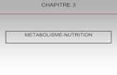 METABOLISME-NUTRITION - medecine.univ-amu.fr fileil existe des formules pour le M basal F(sexe, âge, poids, taille) besoins énergétiques (caloriques) journaliers= dépend du métabolisme.