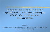 Inspection visuelle après application d’acide acétique ... · Aperçu général: Description de l’IVA et de son fonctionnement Infrastructure nécessaire Que signifient les