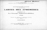 A L'E:TUDE DES LARVES~DES. ÉPHEMERES - insecta.bio.spbu… · INTRODUCTION La première révision critique du groupe éphémérellidien date de 1871. La série des espèces où PICTET