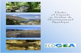 Etudes et Conseils en Gestion de l’Environnement Aquatique · marine (Petromyzon marinus L.) sur la Dordogne en aval du barrage de Tuilières (département de la Dordogne et de