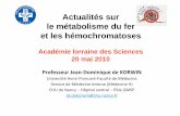 Actualités sur le métabolisme du fer et les hémochromatosesals.univ-lorraine.fr/files/conferences/2010/Korwin.pdf · Fe 2+ Tf R Circulation sanguine Cellule Endosome Acidification