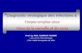 Diagnostic virologique des infections à · Herpes simplex virus. PCR + dans > 90% des cas. Importance du moment du prélèvement par rapport au début des signes cliniques: PCR peut