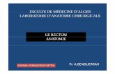 FACULTEDEMÉDECINEDFACULTE DE MÉDECINE D ALGER’ALGER ...univ.ency-education.com/uploads/1/3/1/0/13102001/anatomie2an-rectum.pdf · Examen clinique du rectum : le toucher rectal