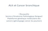 ALK et Cancer bronchique - oncomip.orgoncomip.org/.../croncomip-bm2013_alk-ir.pdf · EGFR act EGFR res KRAS BRAF PI3KCA HER2 ALK (FISH) FISH coûteuse, consommatrice de temps . IHC
