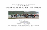 Comité Régional de Natation d'Ile de Franceiledefrance.ffnatation.fr/rsc/1592/fichiers/dossiers/136.pdf2x50 Spé (1) 3x15m Sprint Max (2) 50 max DP 400 Cr-D2B par 50 Volume séance