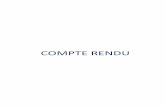 COMPTE RENDU - siem51.fr · (BP + DM) Autorisations de crédits 2019 jusqu'au vote BP 2019 13 Subventions d'investissement 250 000,00 € 62 500,00 € 20 Immobilisations incorporelles