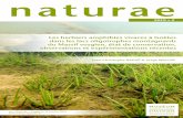 Les herbiers amphibies vivaces à Isoètes dans les lacs ...sciencepress.mnhn.fr/sites/default/files/articles/pdf/naturae2019a2.pdf · naturae art. 2019 (2) — Publié le 13 février