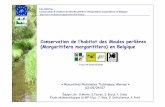 Conservation de l’habitat des Moules perlières ... · PDF fileLife 2002/Nat Conservation de l’habitat des Moules perlières (Margaritifera margaritifera) en Belgique Conservation