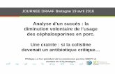 Analyse d’un succès : la diminution volontaire de l’usage ...draaf.bretagne.agriculture.gouv.fr/IMG/pdf/04_GTV_Filiere_porcine_cle07635f.pdf · Pourquoi un « moratoire » sur