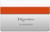 Digestive - univ.ency-education.comuniv.ency-education.com/uploads/1/3/1/0/13102001/semio3an16m_4digestif-01signes... · V. Les hémorragies digestives Définition :le rejet par la