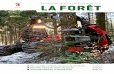 3 LA Le mensuel suisse de la forêt et du bois FORÊT · mARs 2018 La date du premier jour du printemps coïncide avec la Fête de la forêt. Ou des forêts, qui ont enfin leur journée