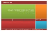 RAPPORT DE STAGE - accueil.ti.ladapt89.netaccueil.ti.ladapt89.net/wp-content/uploads/2017/07/Rapport-Mosaiques.pdf · 1 Table des matières 1 – PRESENTATION DE L’ENTREPRISE.....