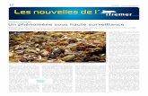Le nouvelle de - wwz.ifremer.fr · 12 Vendredi 20 septembre 2013 Le nouvelle de Le nouvelle de Ballottés au gré des courants marins, les microplastiques constituent un risque important