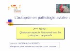 L’autopsie en pathologie aviaire - avicampus.fr · d’autopsie et anatomie des volailles» Les lésions présentées ici sont parmi les plus couramment rencontrées en pathologie