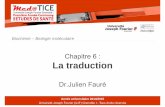 Chapitre 6 : La traduction - cyan1.grenet.frcyan1.grenet.fr/podcastmedia/PACES-2014-2015/UE1-BCH06-6-traduction.pdfAnnée universitaire 2014/2015 Université Joseph Fourier (UJF) Grenoble