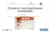 Douleurs neuropathiques orofaciales - desco.ovhdesco.ovh/wp-content/uploads/2018/07/Douleurs-neuropathiques-1-Moodle.pdf · nerfs, mononeuropathy multiple; si diffuse et bilatérale,