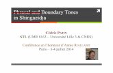 Phrasal and Boundary Tones in Shingazidja - lpp.in2p3.frlpp.in2p3.fr/IMG/pdf/2014-07-04_presentationcedricpatin.pdf · Phrasal and Boundary Tones ! in Shingazidja Cédric PATIN STL