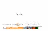 Vaccins - Sites pédagogiques · – 50 passages d’un virus neurotrope sur cellules de rein de singes => sélecon de mutants adaptés aux cellules mais plus au système ...