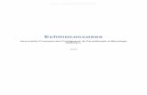 Echinococcoses - CAMPUS  · PDF file© UMVF - Université Médicale Virtuelle Francophone Table des matières Introduction.....4