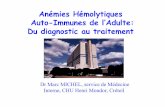 Anémies Hémolyyqtiques Auto-Immunes de l’Adulte: D di it t ...ddata.over-blog.com/xxxyyy/2/48/87/07/journeeaih/AIH2005/michel.pdf · d h I dH PiP ronostic des AHAI « chaudes