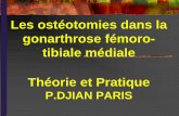 Les ostéotomies dans la gonarthrose fémoro- tibiale ... · La gonarthrose interne sur genu varum Elle peut potentialiser et aggraver toutes les causes précédentes, ... La flexion