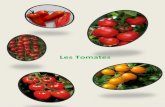 Les Tomates - cdn.website-start.de · PDF fileLes parasites Les œillets d’Inde (appelés aussi tagètes) agissent efficacement contre les nématodes. Penser à en planter en même