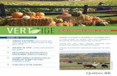 DANS CE NUMÉRO - mapaq.gouv.qc.ca · publié au Québec sur le sujet, on constate que l’information abonde sur les avantages de cultiver les céréales d’automne : Fiche technique