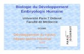 Biologie du Développement Embryologie Humainecoursl3bichat2012-2013.weebly.com/uploads/9/6/0/7/9607940/systme_gastro-hpato... · Université Paris 7 Diderot Faculté de Médecine