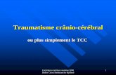 Traumatisme crânio-cérébral · Formation continue vaudoise 2008 Didier Caloz/Ambulancier diplômé 1 Traumatisme crânio-cérébral ou plus simplement le TCC