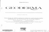 Petrological differentiation patterns and geomorphic ...horizon.documentation.ird.fr/exl-doc/pleins_textes/pleins_textes_6/b_fdi_49-50/... · Reprinted from GEODEW Geoderma 73 ( 1996)