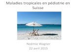 Maladies tropicales en pédiatrie en Suisse tropicales... · Amibiase Malaria Méningite Cholera Chikungunya Dengue Bilharziose Typhoïde Ebola Fièvre jaune Maladie du sommeil Fièvre