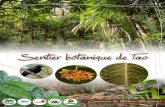 Sentier botanique de Tao - noe.orgnoe.org/.../Outils/LIVRET_sentier_bota_Tao_Noe.pdf · Les auteurs, Dayu Biik (Selvyna Levy) et Noé Conservation (Magali Rossi), tiennent à remercier